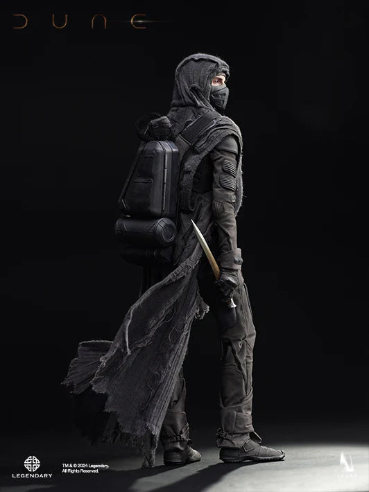 Paul Atreides Dune Standard Version 1/6 Scale Action Figure