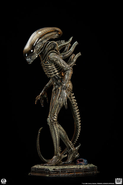 Alien Big Chap Regular 1/2 Scale Statue Pre-order