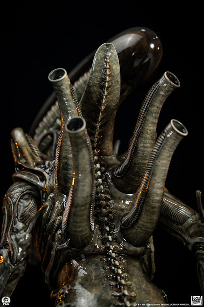 Alien Big Chap Regular 1/2 Scale Statue Pre-order