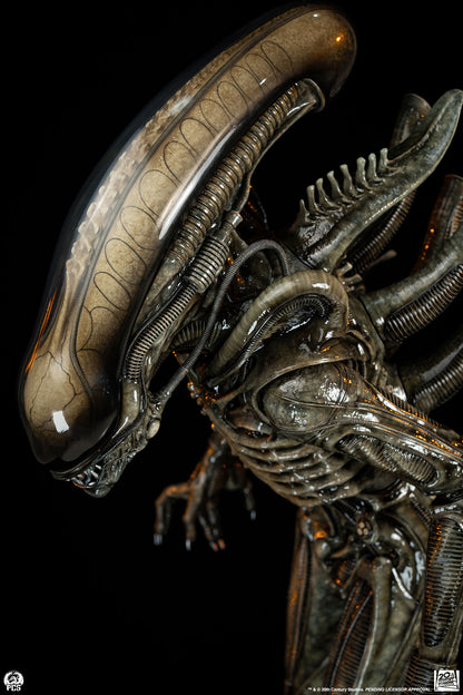 Alien Big Chap Regular 1/2 Scale Statue Pre-order