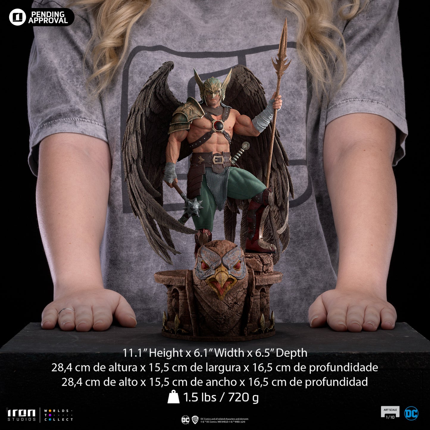 Hawkman DC Comics 10th Anniversary 1/10 Scale Statue Pre-order