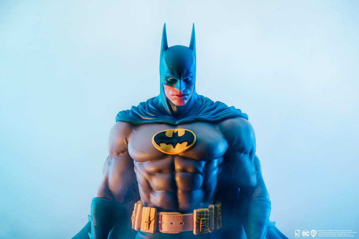 Batman DC Heroes 1/8 Scale Statue